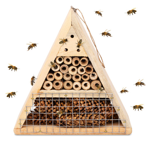 Mason Bee House - Handmade USA Natural Elderberry Bee Hotel - Bee Hive Attracts Peaceful Bee Pollinators to Enhance Garden Productivity Mason Bee House - Handmade USA Natural Elderberry Bee Hotel - Bee Hive Attracts Peaceful Bee Pollinators to Enhance Garden Productivity