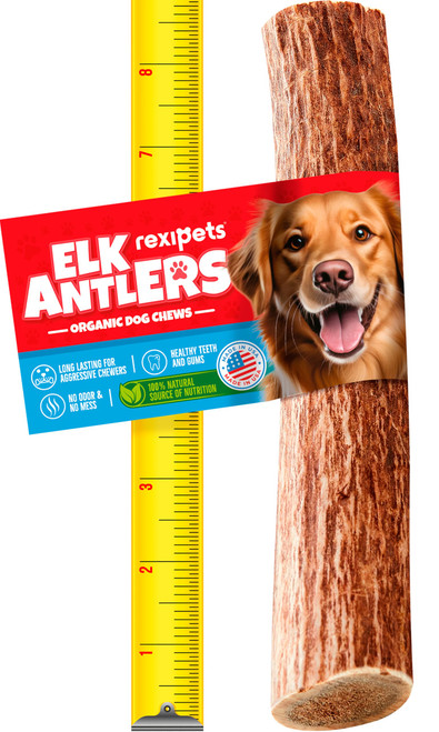 REXIPETS Extra Large Elk Antlers for Very Large Dogs - Grade A Dog Antler Chews - Natural, Long-Lasting Treats for Aggressive Chewers - Naturally Shed in USA REXIPETS Extra Large Elk Antlers for Very Large Dogs - Grade A Dog Antler Chews - Natural, Long-Lasting Treats for Aggressive Chewers - Naturally Shed in USA