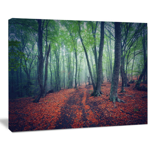 Designart PT8191-20-12 Beautiful Green Autumn Forest Landscape Photo Canvas Print, 12" H x 20" W x 1" D 1P, Blue Designart PT8191-20-12 Beautiful Green Autumn Forest Landscape Photo Canvas Print, 12" H x 20" W x 1" D 1P, Blue