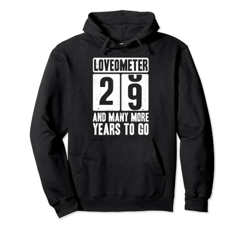29th Wedding Anniversary Loveometer Married for 29 Years Pullover Hoodie
