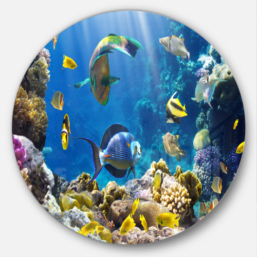Designart Fish in Coral Reef-Seascape Photography Circle MT7213-C23-Disc of 23 inch, 23'' H x 23'' W x 1'' D 1P, Blue Designart Fish in Coral Reef-Seascape Photography Circle MT7213-C23-Disc of 23 inch, 23'' H x 23'' W x 1'' D 1P, Blue