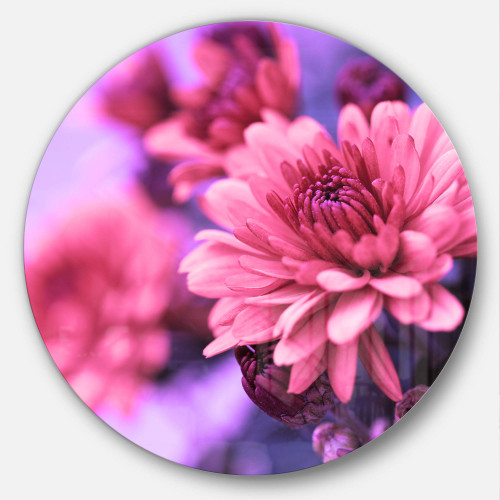 Designart Colorful Autumnal Chrysanthemum-Floral Metal Artwork-Disc of 23, 23X23-Disc of 23 inch, Pink