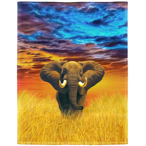 Rstick Elephant Blanket African Animal Fleece Blanket Soft Fuzzy Plush Throw Blankets for Couch Bed 60"x80"