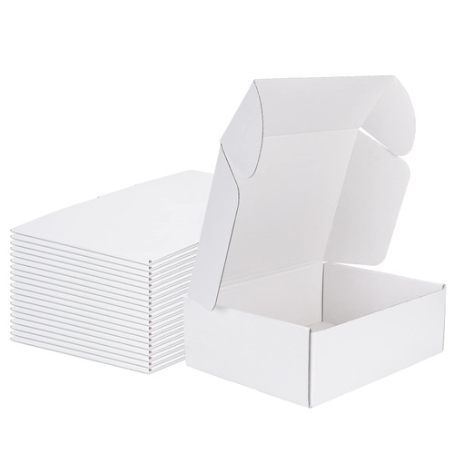 MEBRUDY 12x9x4 Shipping Boxes, 20 Pack White Literature Mailer Corrugated Cardboard Box for Small Business Mailing Packaging