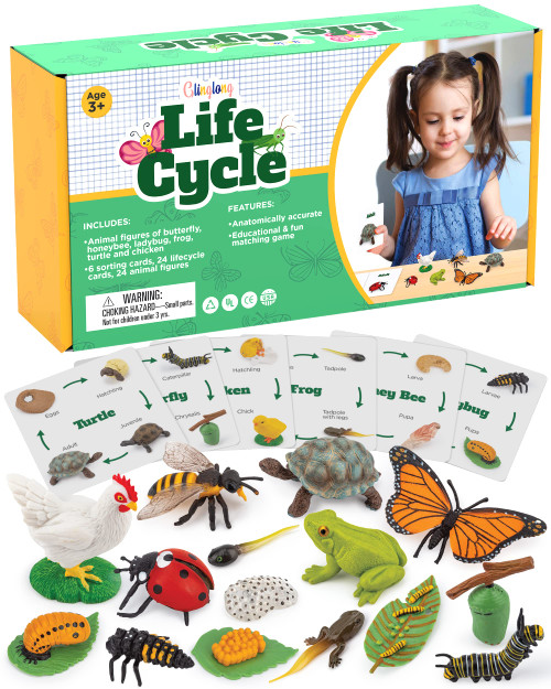 Life Cycle Kit Montessori - Realistic Figurine Toys, Kids Animal Match Set with Frog, Ladybug, & More - Includes 24-Piece Animals, Stocking Stuffers Educational & Fun Learning Game for Children 3+ Life Cycle Kit Montessori - Realistic Figurine Toys, Kids Animal Match Set with Frog, Ladybug, & More - Includes 24-Piece Animals, Stocking Stuffers Educational & Fun Learning Game for Children 3+