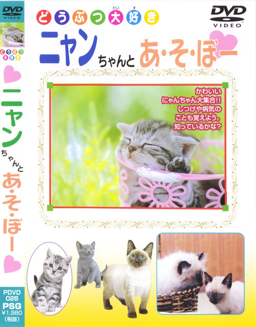 Nyan-chan and Play DVD