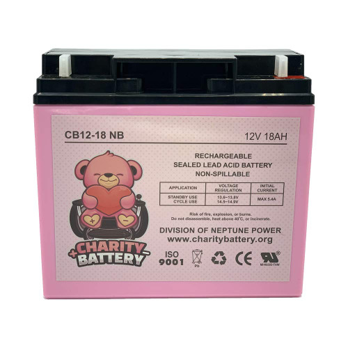Charity Battery CB12180 12V 18Ah Rechargeable SLA Battery Replacement for UB12180 FM12180 6fm18