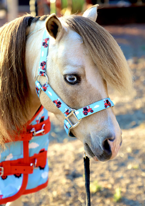 Star Point Horsemanship Mini-Pony Tractor Halter (Tractors, 28-32" Mini)