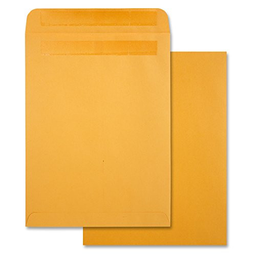 Quality Park Redi-Seal 9 x 12 Inch Kraft Catalog Envelopes 250 Count (43562)