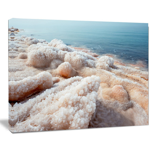 Designart PT11190-20-12 Crystallized Salt on Dead Sea Beach-Extra Large Seashore Canvas Art-20x12, 12" H x 20" W x 1" D 1P