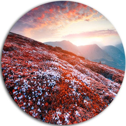 Designart Blooming Fields in Carpathian-Landscape Photo Round Wall Art-Disc of 23, 23'' H x 23'' W x 1'' D 1P, Red Designart Blooming Fields in Carpathian-Landscape Photo Round Wall Art-Disc of 23, 23'' H x 23'' W x 1'' D 1P, Red