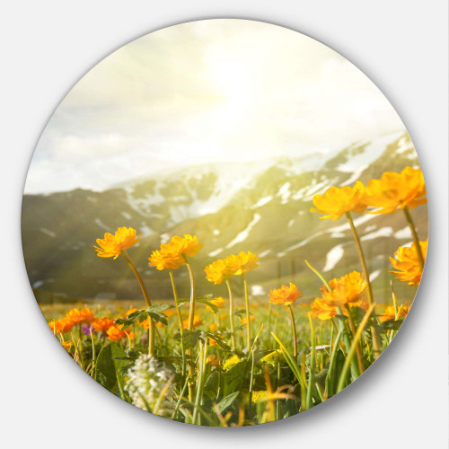 Designart Mountain Pasture with Yellow Modern Flower Round Metal Wall Art-Disc of 23, 23'' H x 23'' W x 1'' D 1P Designart Mountain Pasture with Yellow Modern Flower Round Metal Wall Art-Disc of 23, 23'' H x 23'' W x 1'' D 1P