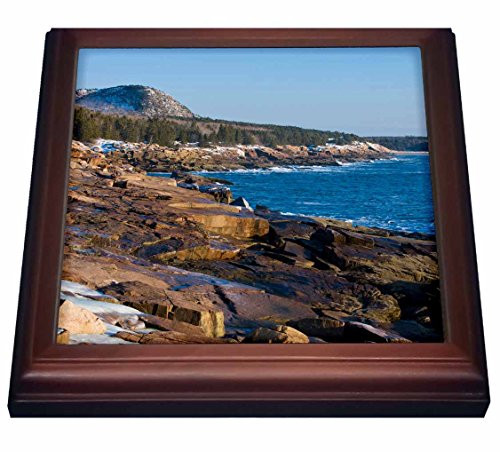 3dRose trv_90722_1 Maine, Acadia NP, Ocean Drive Section US20 JMO1263 Jerry and Marcy Monkman Trivet with Ceramic Tile, 8 by 8", Brown 3dRose trv_90722_1 Maine, Acadia NP, Ocean Drive Section US20 JMO1263 Jerry and Marcy Monkman Trivet with Ceramic Tile, 8 by 8", Brown