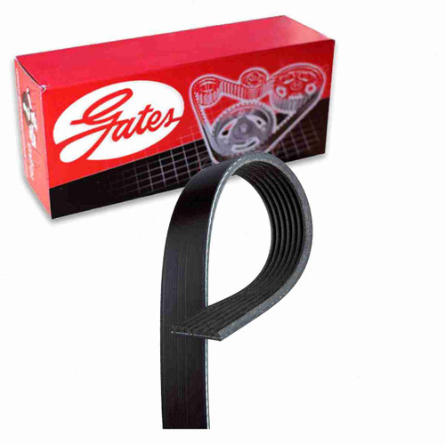 Gates Micro-V Serpentine Belt Compatible with Acura TSX 2.4L L4 2004-2008