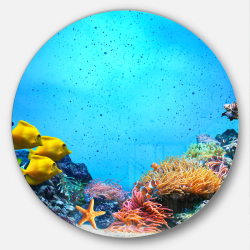 Designart Underwater Scene-Seascape Photography Disc MT7218-C23-Disc of 23 inch, 23'' H x 23'' W x 1'' D 1P, Yellow Designart Underwater Scene-Seascape Photography Disc MT7218-C23-Disc of 23 inch, 23'' H x 23'' W x 1'' D 1P, Yellow