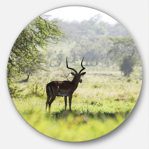 Designart MT12678-C23 Wall Art-Disc of 23 inch, 23 x 23 23 in, Green Designart MT12678-C23 Wall Art-Disc of 23 inch, 23 x 23 23 in, Green