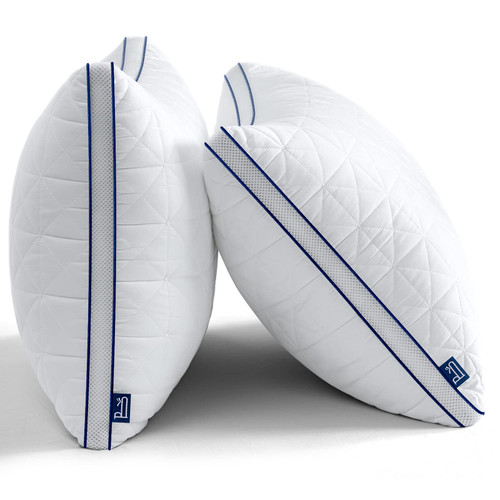 BedStory Bed Pillows for Sleeping-King Pillows Set of 2-Cooling Pillows with Mesh Design-Premium Soft Down Alternative Fill Supportive for Back, Stomach or Side Sleepers BedStory Bed Pillows for Sleeping-King Pillows Set of 2-Cooling Pillows with Mesh Design-Premium Soft Down Alternative Fill Supportive for Back, Stomach or Side Sleepers
