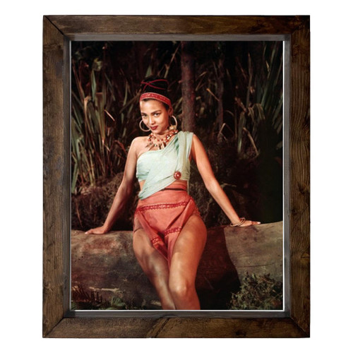 Dorothy Dandridge - 14X17 Full Color Photo Sign With Wood Frame PTR #G917112