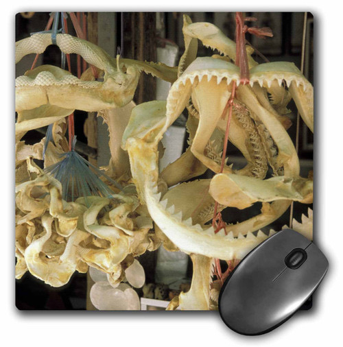3dRose LLC 8 x 8 x 0.25 Inches Mouse Pad, Thail and, KOH Samui, Shark Jaws and Teeth at Market-As36 Dbr0060 - Dave Bartruff (mp_75589_1)