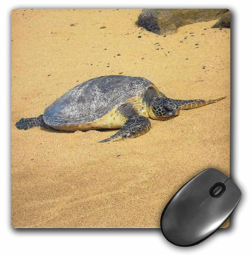 3dRose LLC 8 X 8 X 0.25 Inches Sea Turtle on Na Pali Coast Hawaii Mouse Pad (mp_23628_1) 3dRose LLC 8 X 8 X 0.25 Inches Sea Turtle on Na Pali Coast Hawaii Mouse Pad (mp_23628_1)