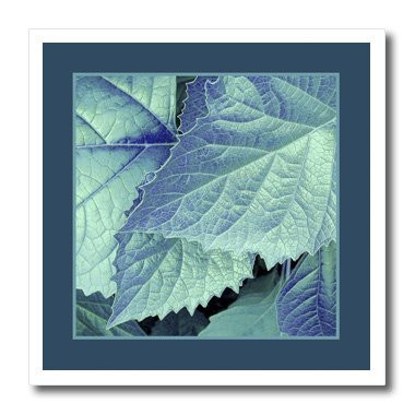 3dRose Turquoise and Cobalt Blue Metallic Leaves with Teal Blue Frame-Iron on Heat Transfer, 8 by 8", for White Material (ht_33438_1)