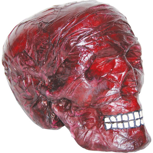 Sunstar Industries Blood Red Scary Skull Prop