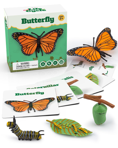Life Cycle Kit Toy Science Montessori - Realistic Figurine, Kids Animal Match Set Stocking Stuffers for Boys and Girls Age 3,4,5,6,7,8,9 (Life Cycle - Butterfly) Life Cycle Kit Toy Science Montessori - Realistic Figurine, Kids Animal Match Set Stocking Stuffers for Boys and Girls Age 3,4,5,6,7,8,9 (Life Cycle - Butterfly)