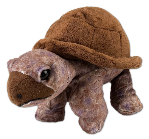 Wild Republic Tortoise Plush, Stuffed Animal, Plush Toy, Gifts for Kids, 8 Inches, Cuddlekins