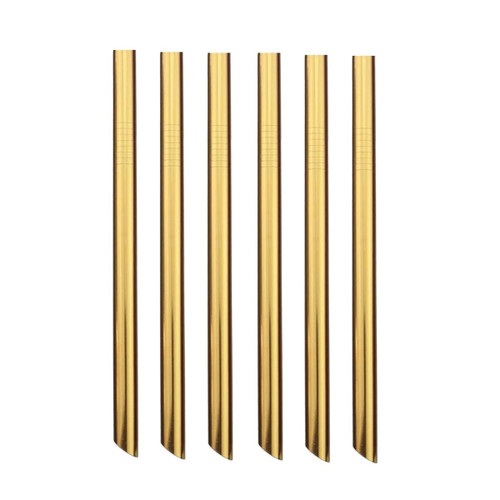 6Pcs Stainless Steel Drinking Straws Smoothie Straw Set, Reusable Stainless Steel Drink Straw for Drinking Hot and Cold Beverages