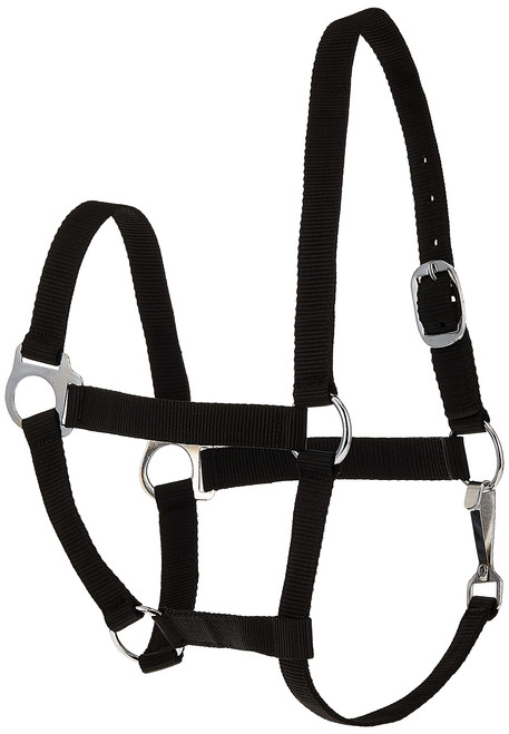 Tough 1 Tough-1 Economy Halter, Black, Pony