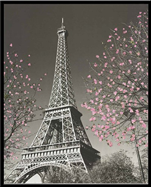 Culturenik Paris Eiffel Tower Blossoms Decorative Photography Travel City Poster Print, Framed 16x20 Culturenik Paris Eiffel Tower Blossoms Decorative Photography Travel City Poster Print, Framed 16x20