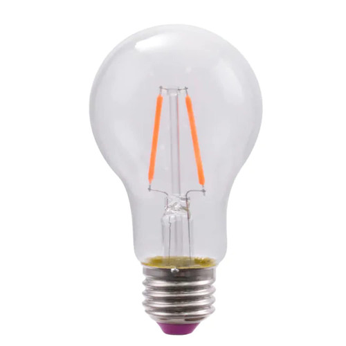 2-Watt EQ A19 Pink Edison Light Bulb