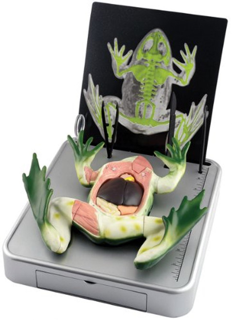 Edu-Toys - Simulated Frog Dissection Kit