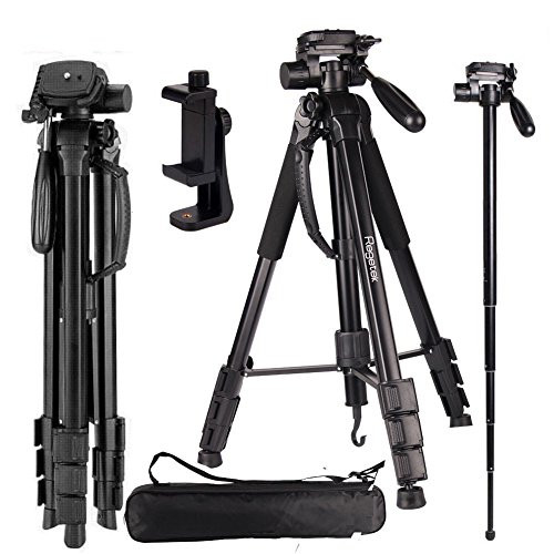 Regetek Camera Tripod Travel Monopod (70" Aluminum Professional Video Camera Mount Leg) Adjustable Stand with Flexible Head for Canon Nikon DV DSLR Camcorder Gopro cam& Carry Bag & Cellphone Mount