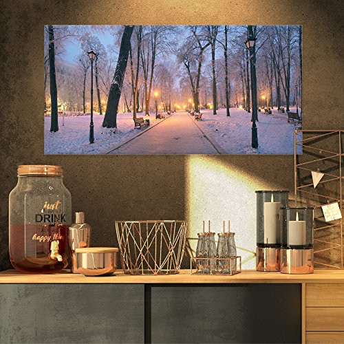 Design Art PT9135-32-16 Mariinsky Garden in Winter-Landscape Photo Canvas Art Print-32x16, 32x16, Blue Design Art PT9135-32-16 Mariinsky Garden in Winter-Landscape Photo Canvas Art Print-32x16, 32x16, Blue