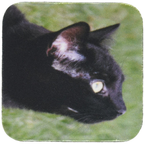 3dRose CST_50986_1 Black Cat Looking Up Soft Coasters, Set of 4