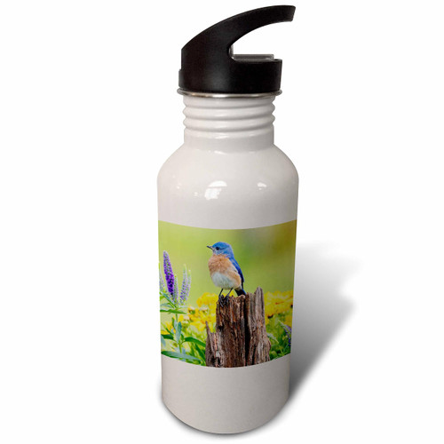 3dRose Eastern bluebird male on fence post near flower garden Marion... - Water Bottles (wb-367147-2)
