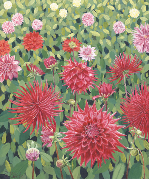 Susan Entwistle Art Field of Dahlias Limited Edition Paper Print, 50 cm x 60 cm, Cotton, Multi-Colour, 70 x 60 x 0.2 cm