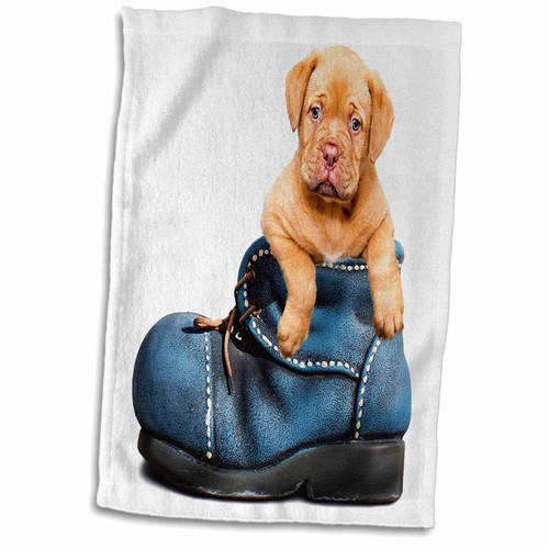 3dRose Florene Dog - Image of Puppy Dog in A Blue Shoe - Towels (twl-245136-1) 3dRose Florene Dog - Image of Puppy Dog in A Blue Shoe - Towels (twl-245136-1)