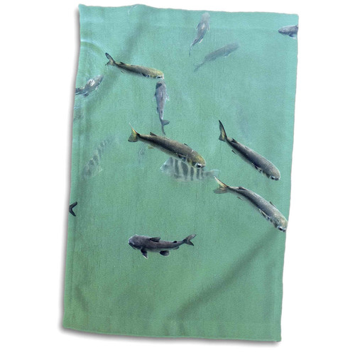 3dRose Susans Zoo Crew Animal - Assorted Florida Fish in Blue Water - Towels (twl-294870-1)