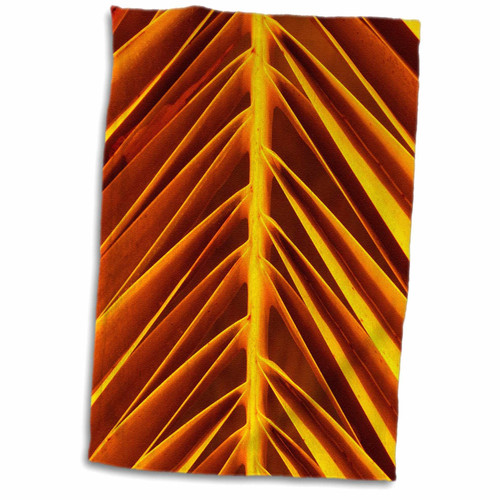 3dRose Florene Macro Plant - Orange Frond Angles - Towels (twl-30651-1)