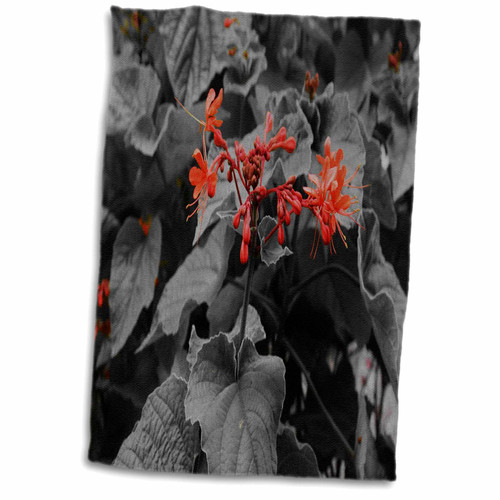 3dRose Image of Black and White with Orange Flowers - Towels (twl-326058-1)