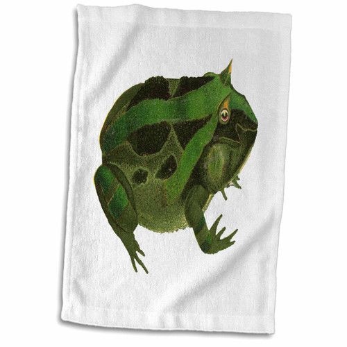 3dRose Florene Childrens Art - Vintage Green Toad - Towels (twl-37370-1)