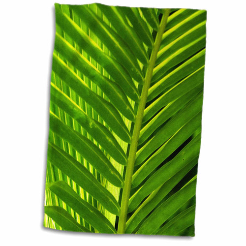 3dRose Florene Contemporary - Palm Cross Green - Towels (twl-57632-1)