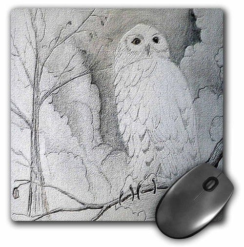 3dRose LLC 8 x 8 x 0.25 Inches Night Owl Mouse Pad (mp_14407_1)