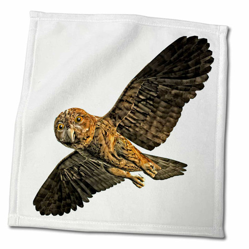 3dRose Boehm Graphics Bird - Zero MORs Owl Gliding - Towels (twl-172064-3) 3dRose Boehm Graphics Bird - Zero MORs Owl Gliding - Towels (twl-172064-3)