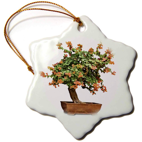 3dRose Boehm Photography Plant - Penjing Bonsai with Orange Flowers - Ornaments (orn-13926-1)