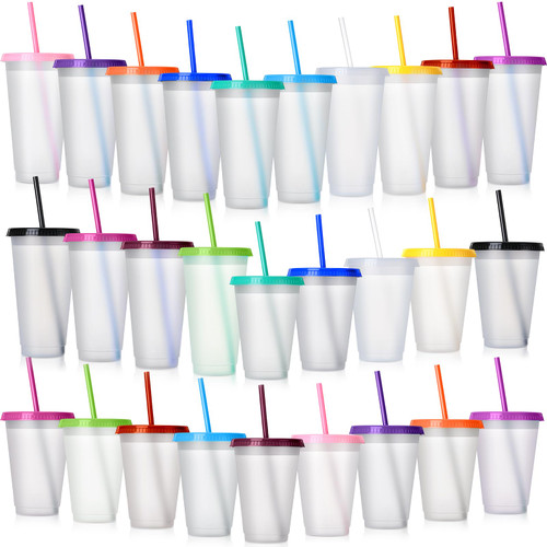 Clear Plastic Tumbler with Straw and Lid Bulk Water Bottle Iced Coffee Travel Mug Cup with Lid and Straw Reusable Plastic Cups for Kids Christmas Water Smoothie Party Birthday(24 oz, 16 oz, 28 Pack)