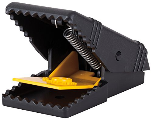 Tomcat Mouse Snap Traps - Mouse Killer - Safer Around Children and Pets Than Conventional Wooden Traps, 2 Pack