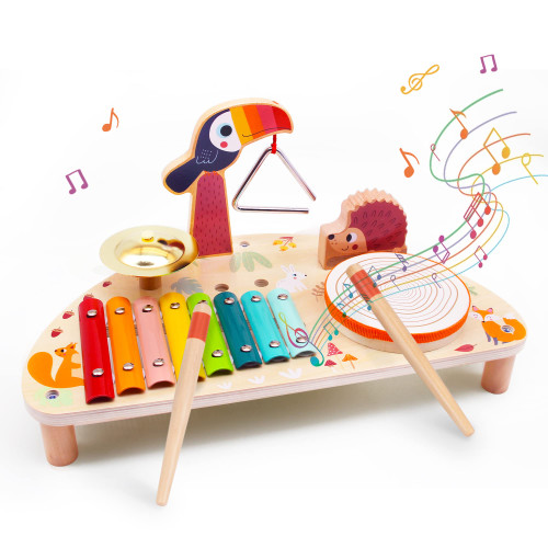 WarmSun Toddlers Toy Musical Instruments, Drums, Xylophone 5-in-1 Wooden Montessori Set for 3+ Year-Olds - Music Toy for Baby